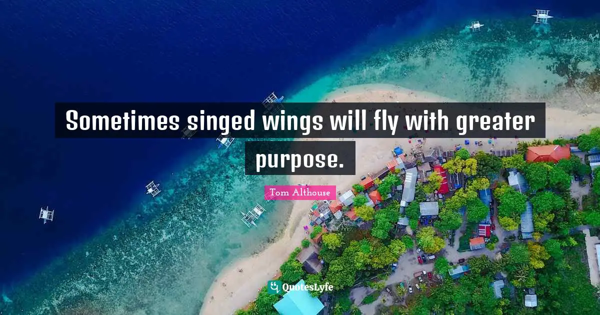 Overcoming Pain Quotes: "Sometimes singed wings will fly with greater purpose."
