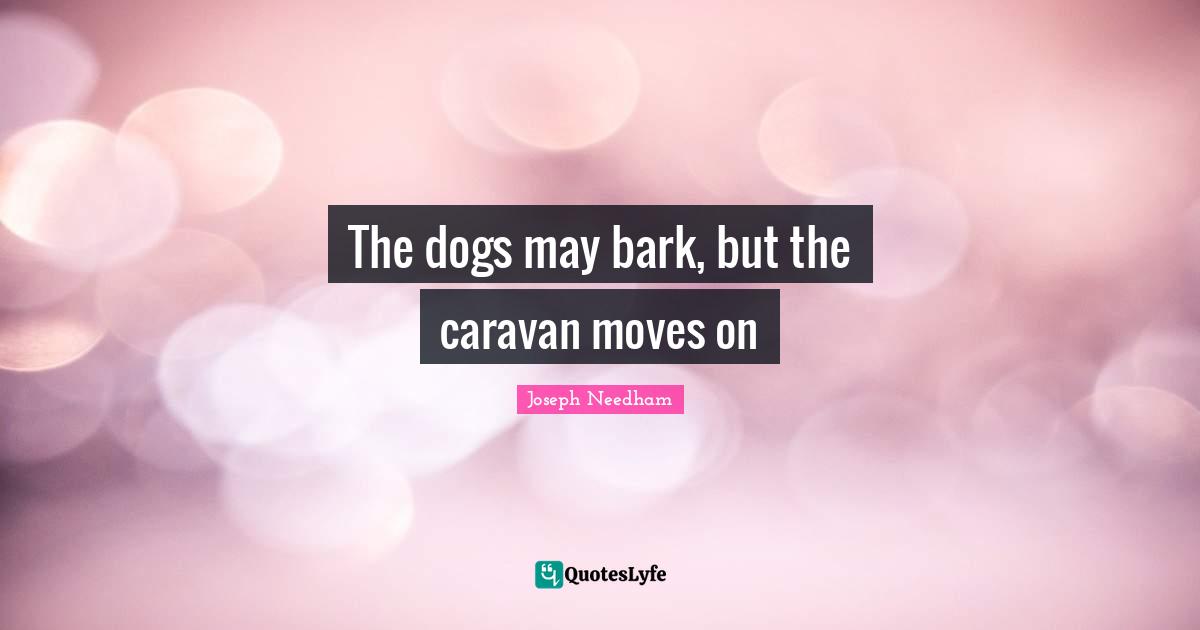 The dogs may bark, but the caravan moves on