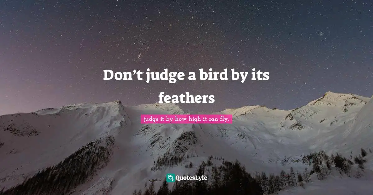 Don’t judge a bird by its feathers