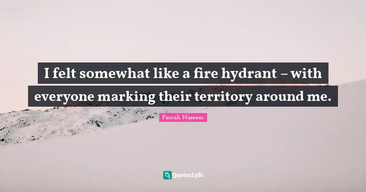I felt somewhat like a fire hydrant – with everyone marking their territory around me.