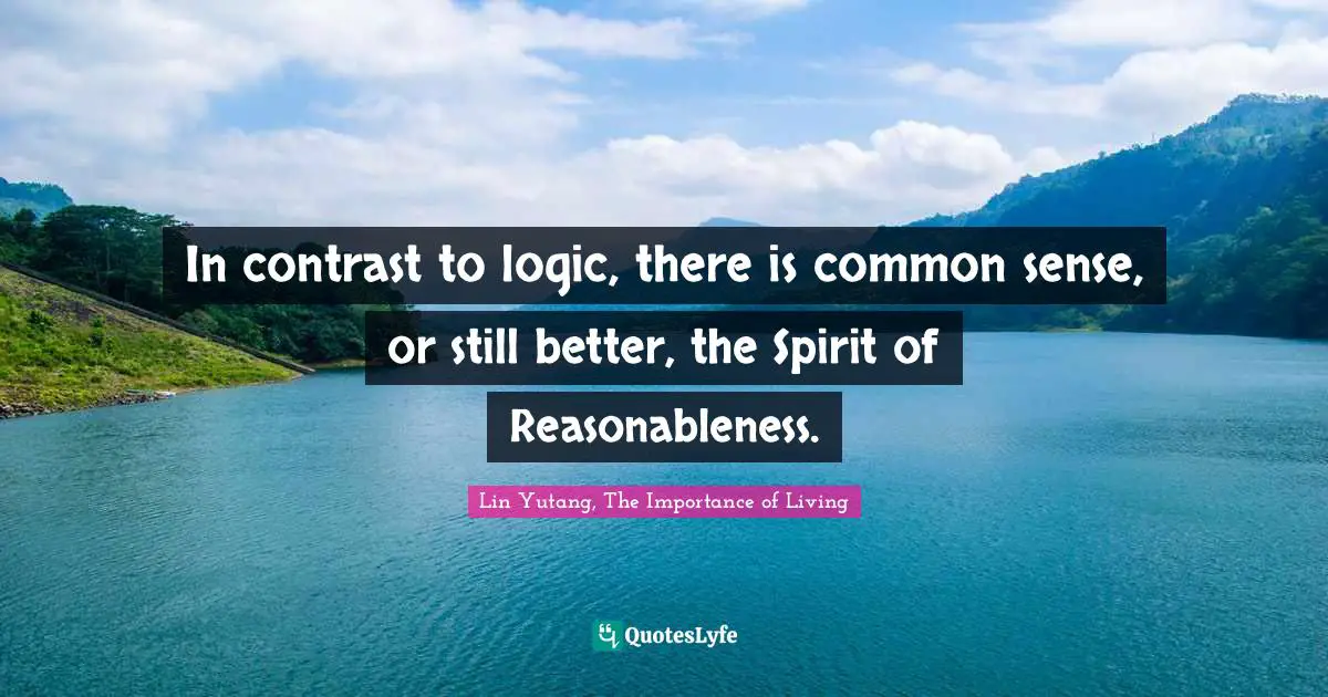 In contrast to logic, there is common sense, or still better, the Spirit of Reasonableness.