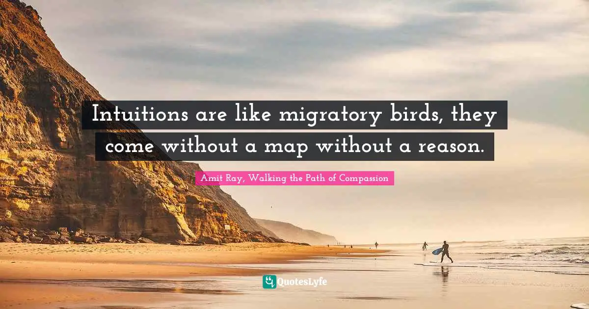 Amit Ray Quotes: "Intuitions are like migratory birds, they come without a map without a reason."