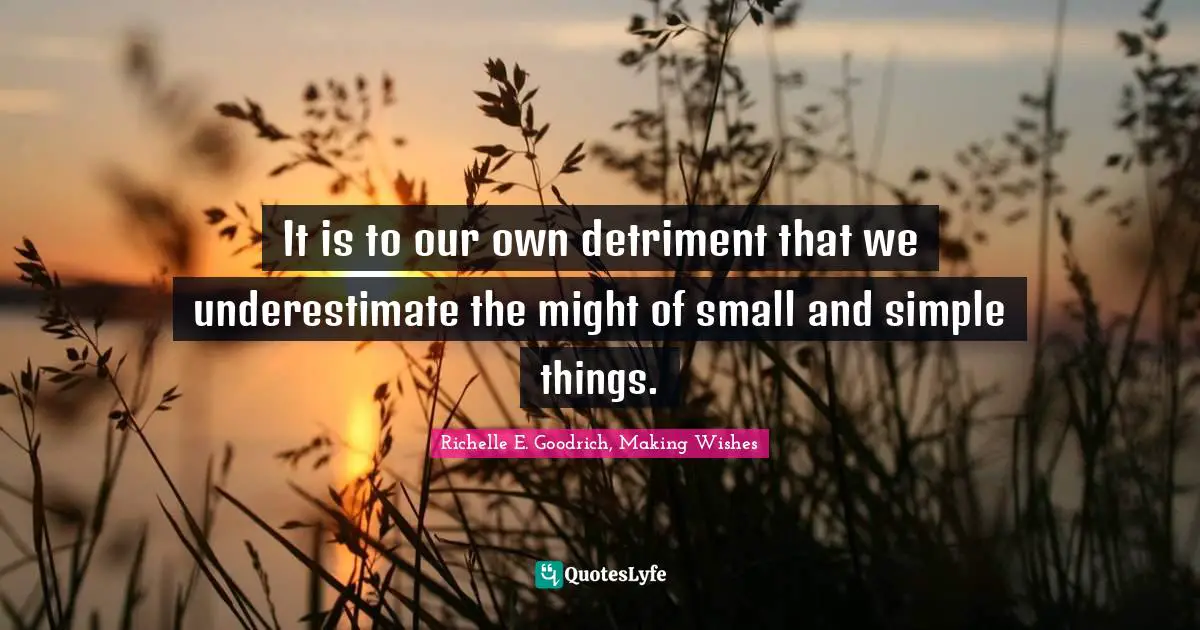 Richelle E. Goodrich, Making Wishes Quotes: It is to our own detriment that we underestimate the might of small and simple things.