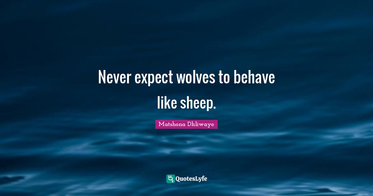 Never expect wolves to behave like sheep.