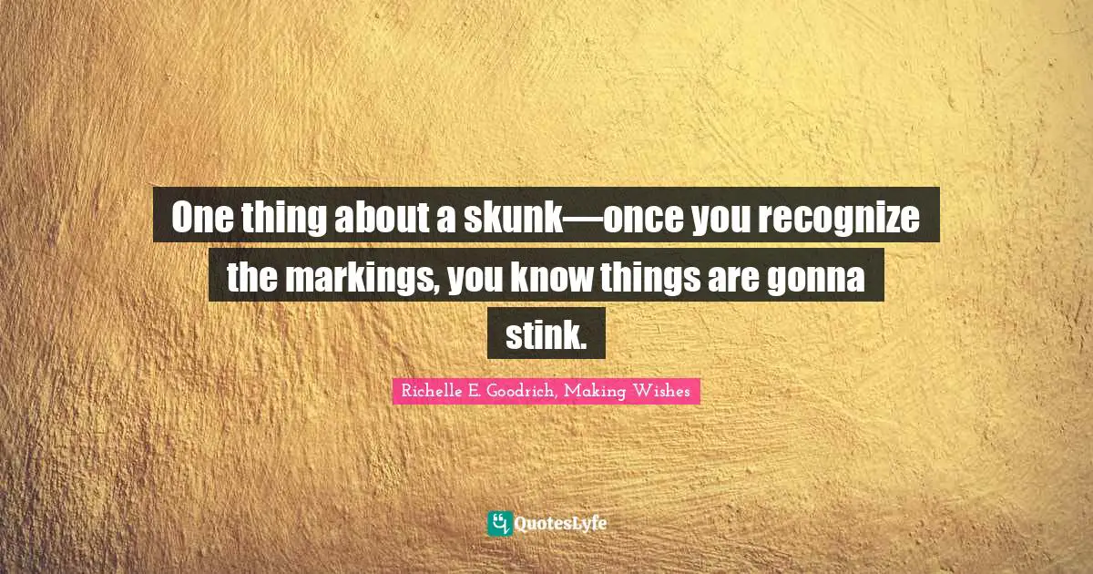 One thing about a skunk—once you recognize the markings, you know things are gonna stink.