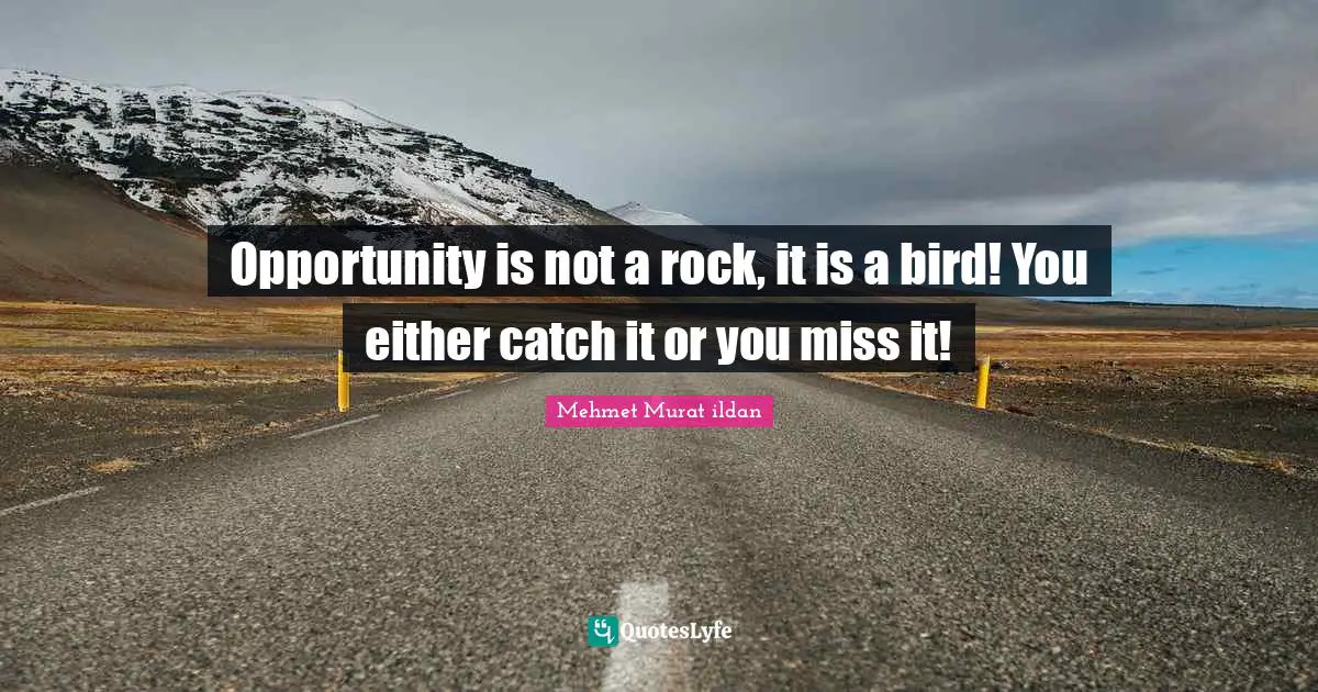 Opportunity is not a rock, it is a bird! You either catch it or you miss it!