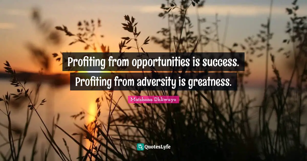 Profiting from opportunities is success. Profiting from adversity is greatness.