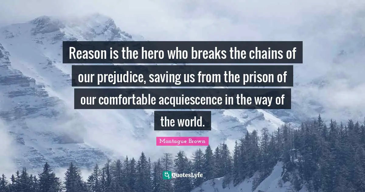 Reason is the hero who breaks the chains of our prejudice, saving us from the prison of our comfortable acquiescence in the way of the world.