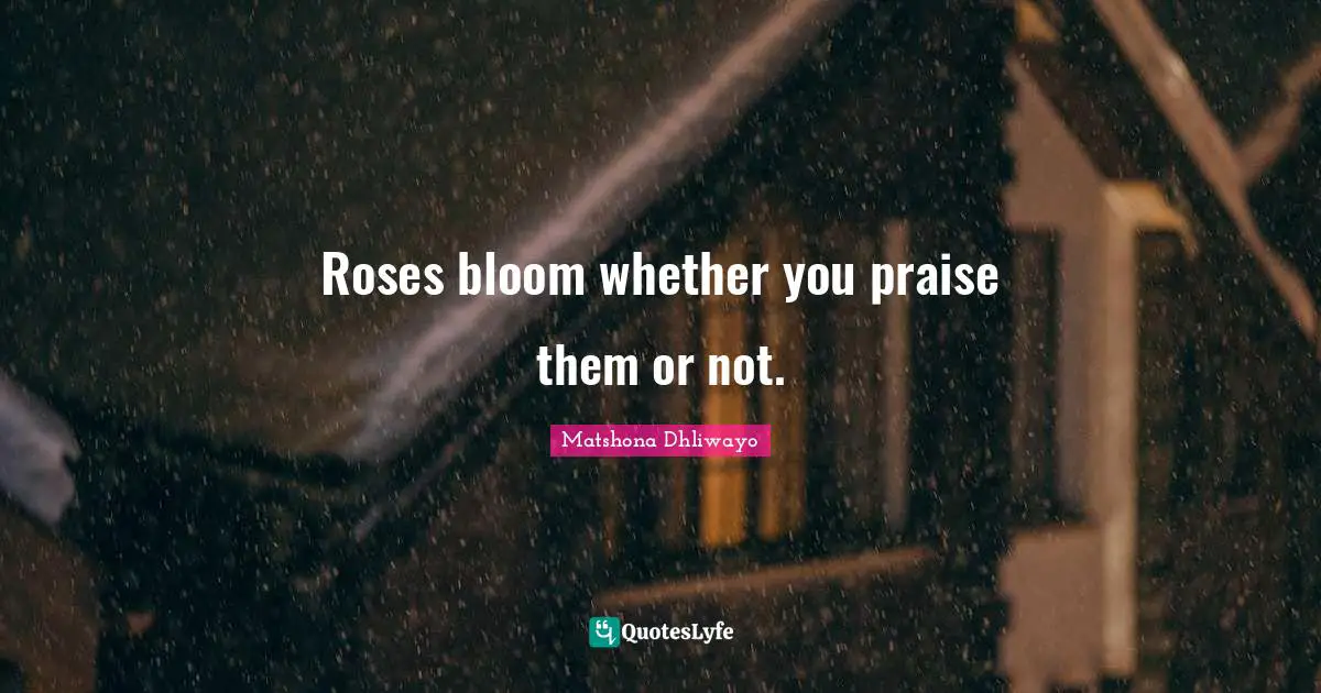 Roses bloom whether you praise them or not.