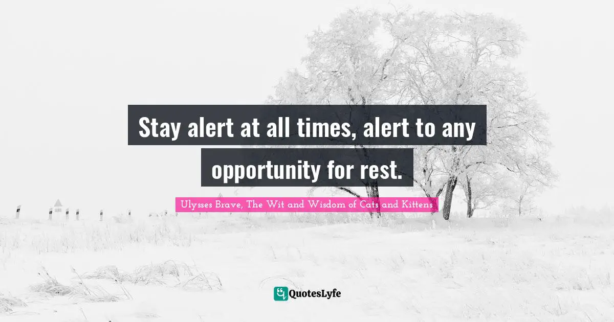 Stay alert at all times, alert to any opportunity for rest.