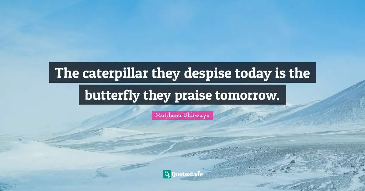 The caterpillar they despise today is the butterfly they praise tomorrow.