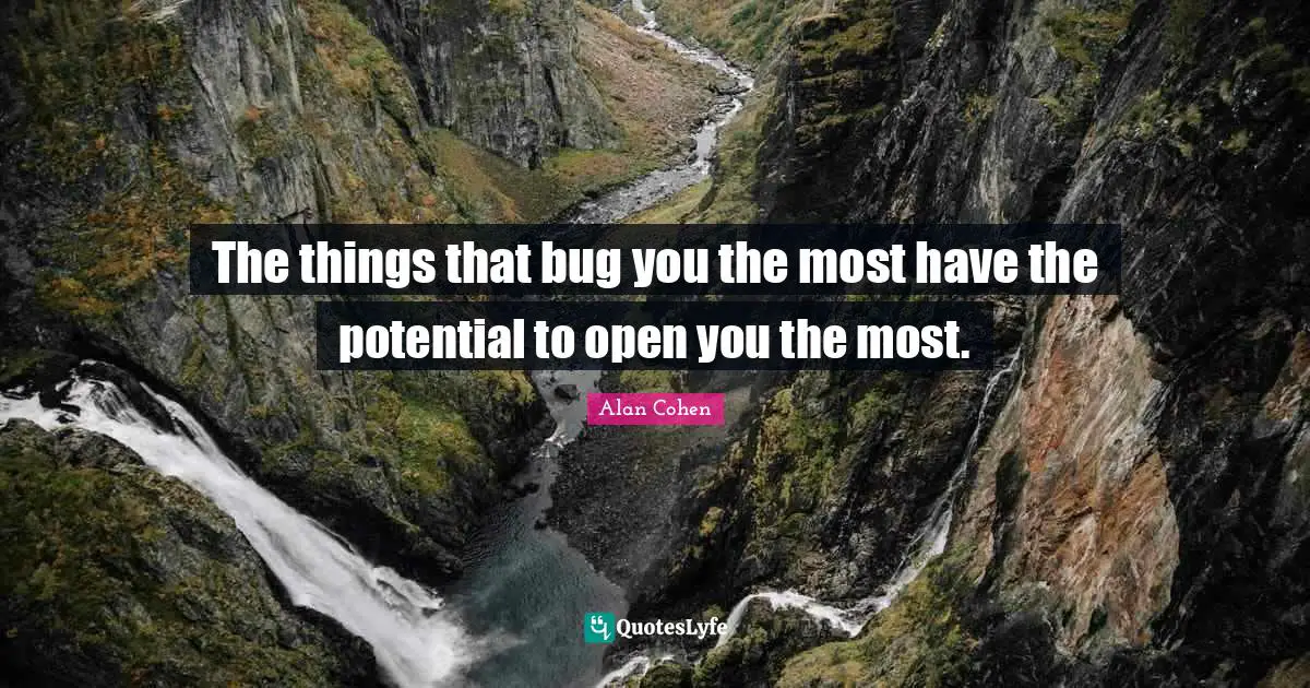 The things that bug you the most have the potential to open you the most.