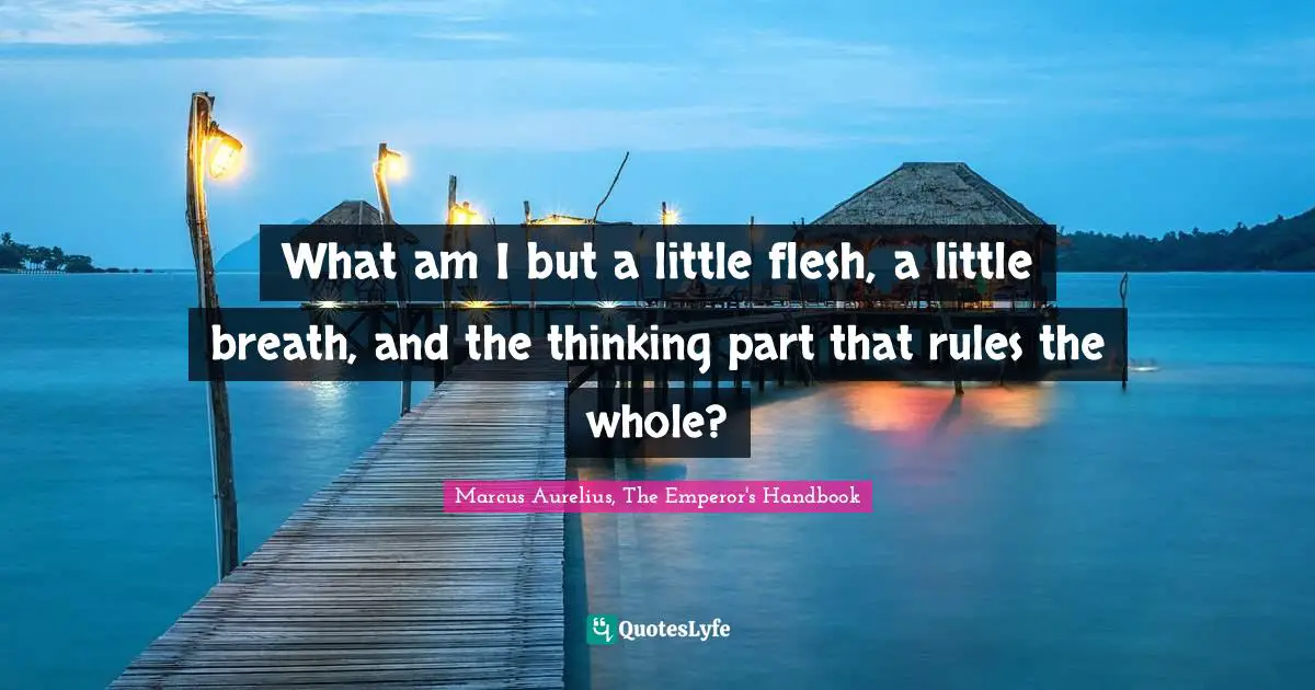 What am I but a little flesh, a little breath, and the thinking part that rules the whole?