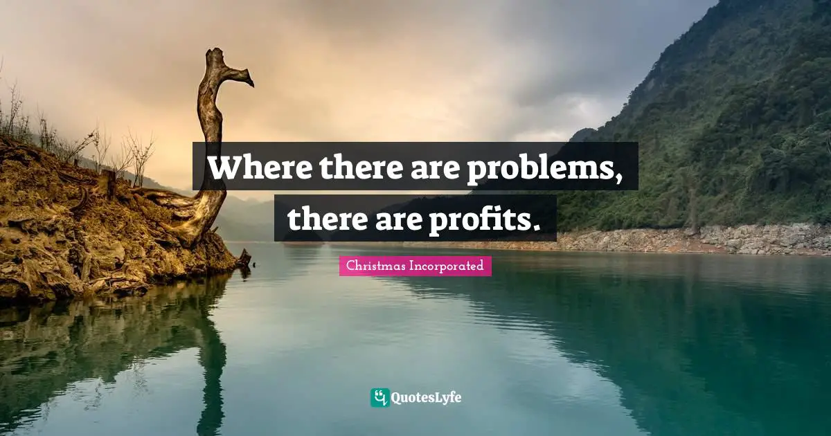 Where there are problems, there are profits.