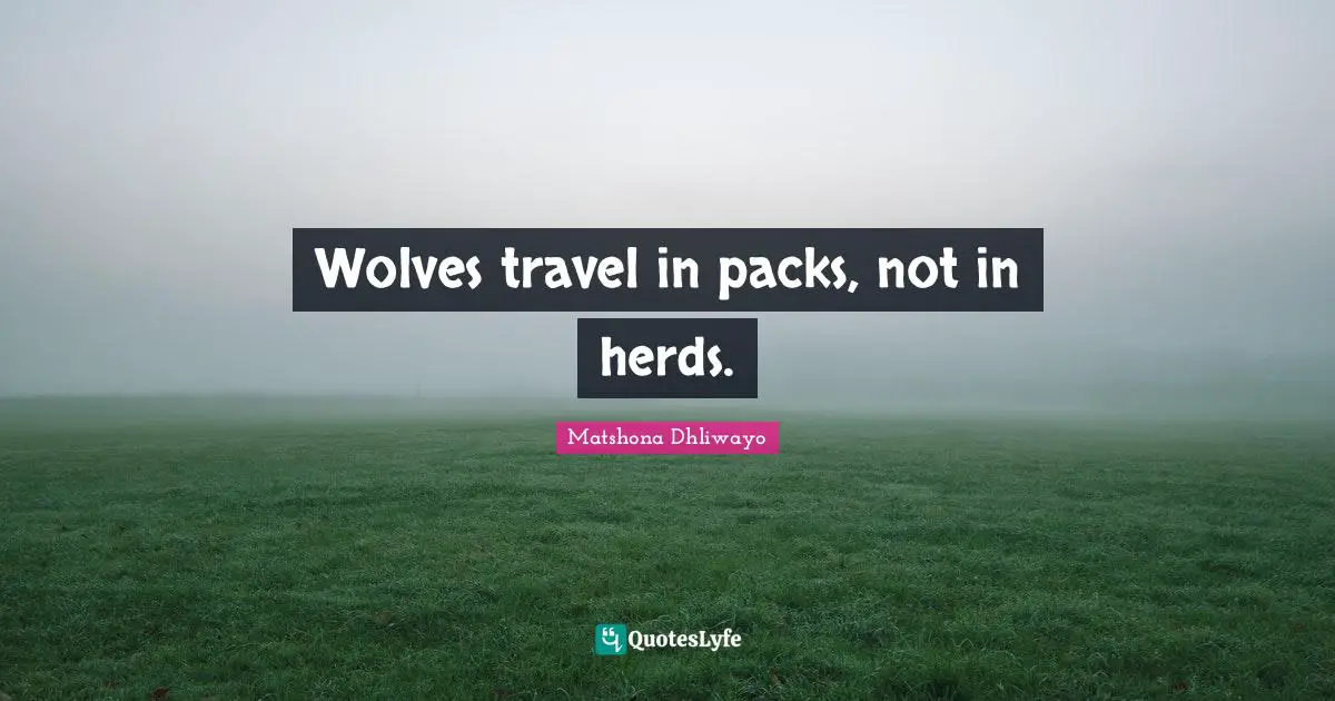 Wolves travel in packs, not in herds.