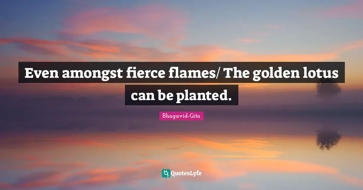 Even amongst fierce flames/ The golden lotus can be planted.