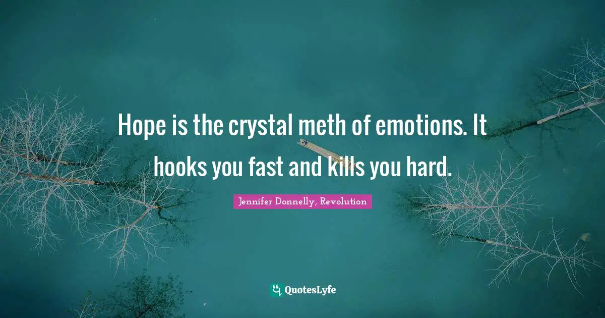 Jennifer Donnelly Quotes: "Hope is the crystal meth of emotions. It hooks you fast and kills you hard."