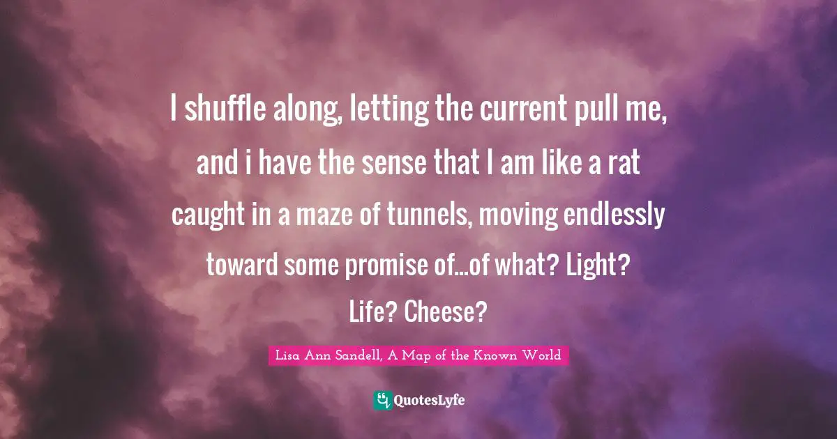I shuffle along, letting the current pull me, and i have the sense that I am like a rat caught in a maze of tunnels, moving endlessly toward some promise of...of what? Light? Life? Cheese?
