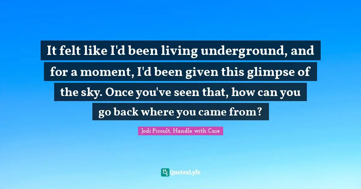 Jodi Picoult, Handle With Care Quotes: "It felt like I'd been living underground, and for a moment, I'd been given this glimpse of the sky. Once you've seen that, how can you go back where you came from?"