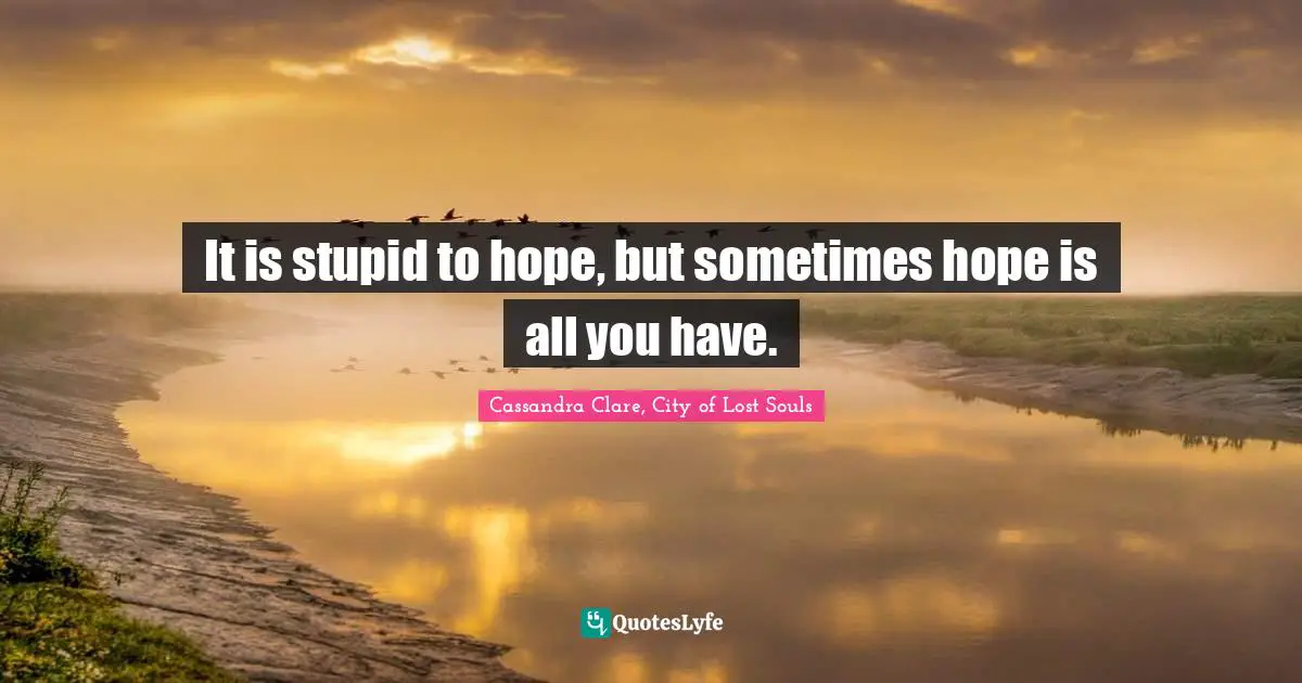 It is stupid to hope, but sometimes hope is all you have.