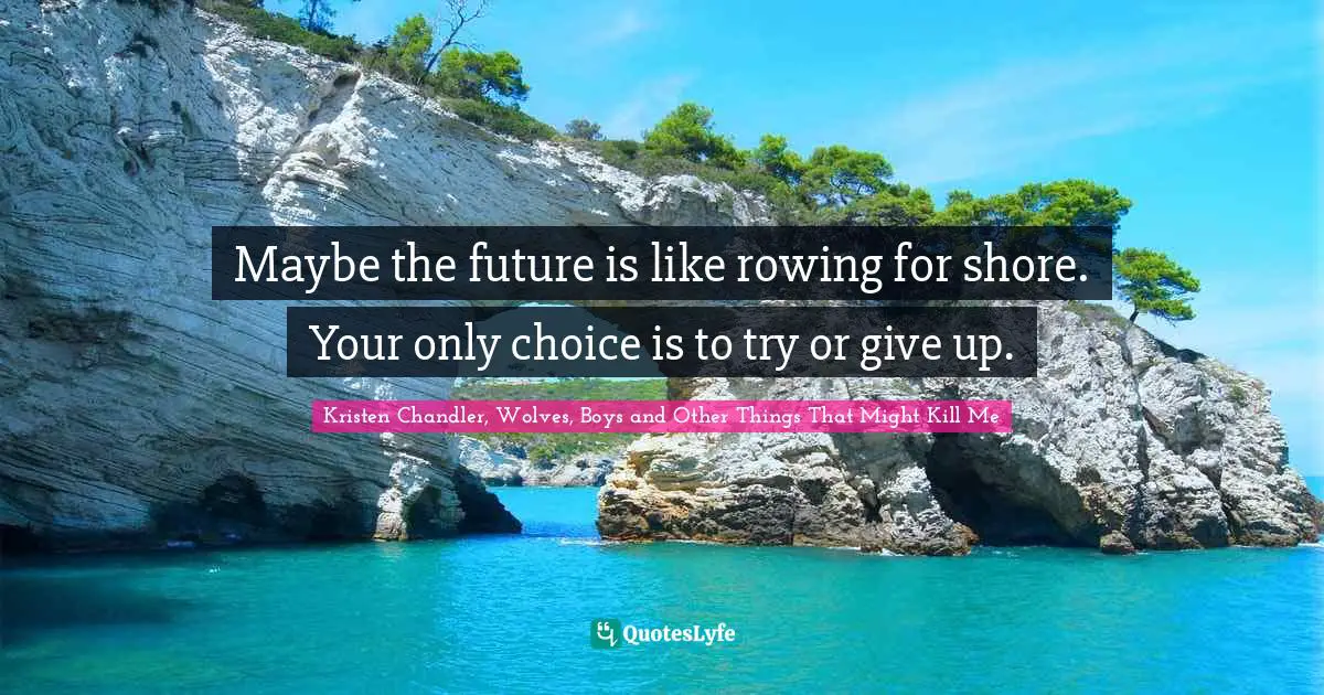 Maybe the future is like rowing for shore. Your only choice is to try or give up.