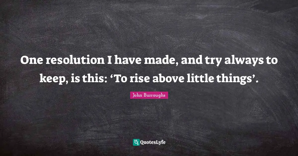John Burroughs Quotes: One resolution I have made, and try always to keep, is this: ‘To rise above little things’.