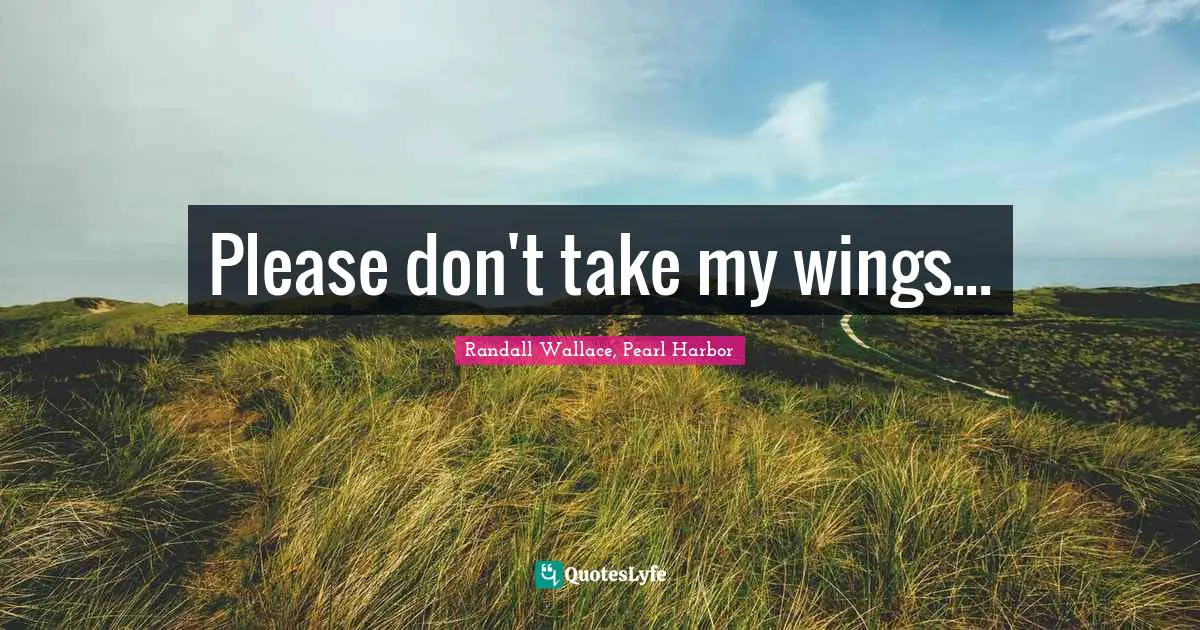 Please don't take my wings...