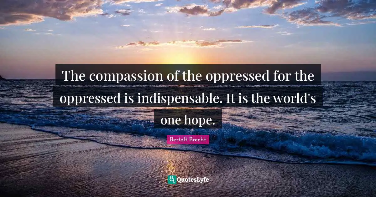 The compassion of the oppressed for the oppressed is indispensable. It is the world's one hope.