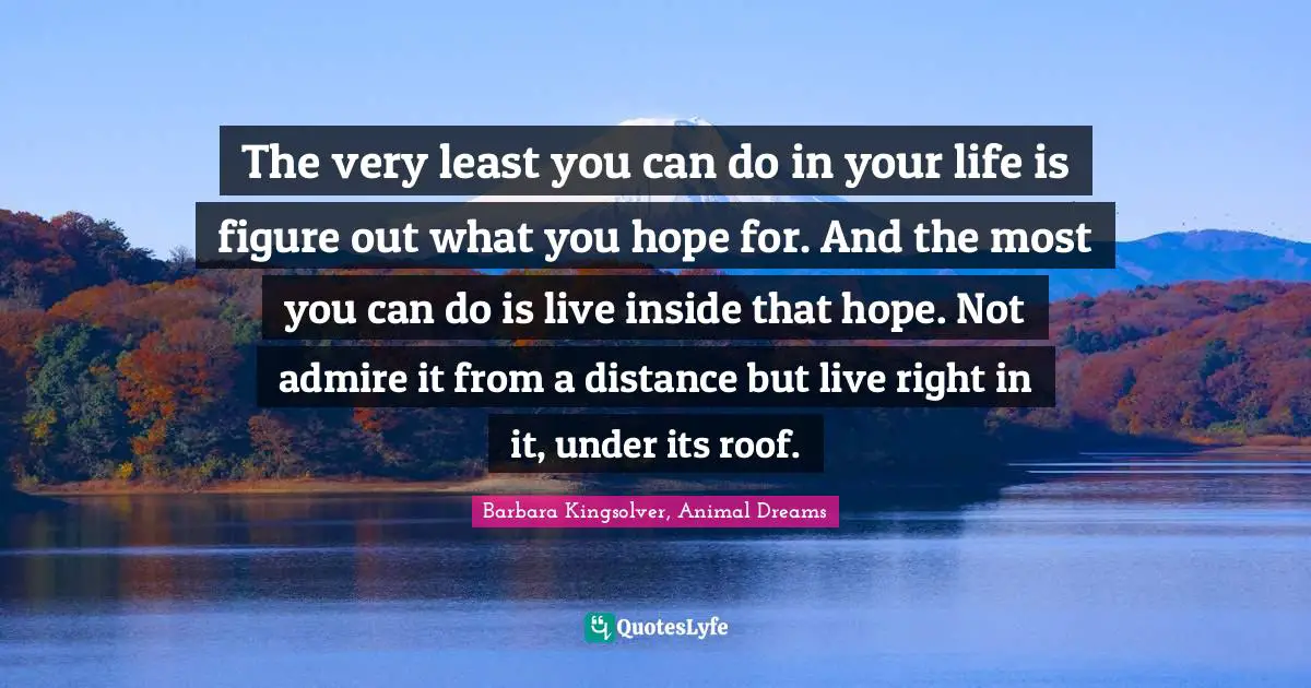 The very least you can do in your life is figure out what you hope for. And the most you can do is live inside that hope. Not admire it from a distance but live right in it, under its roof.