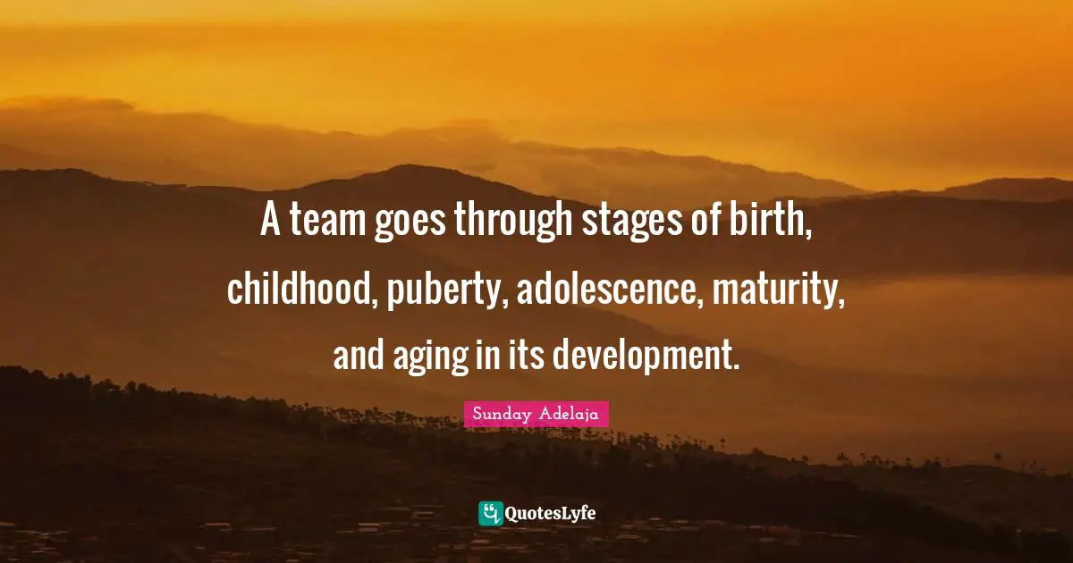 A team goes through stages of birth, childhood, puberty, adolescence, maturity, and aging in its development.