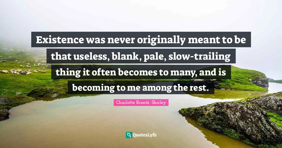 Existence was never originally meant to be that useless, blank, pale, slow-trailing thing it often becomes to many, and is becoming to me among the rest.