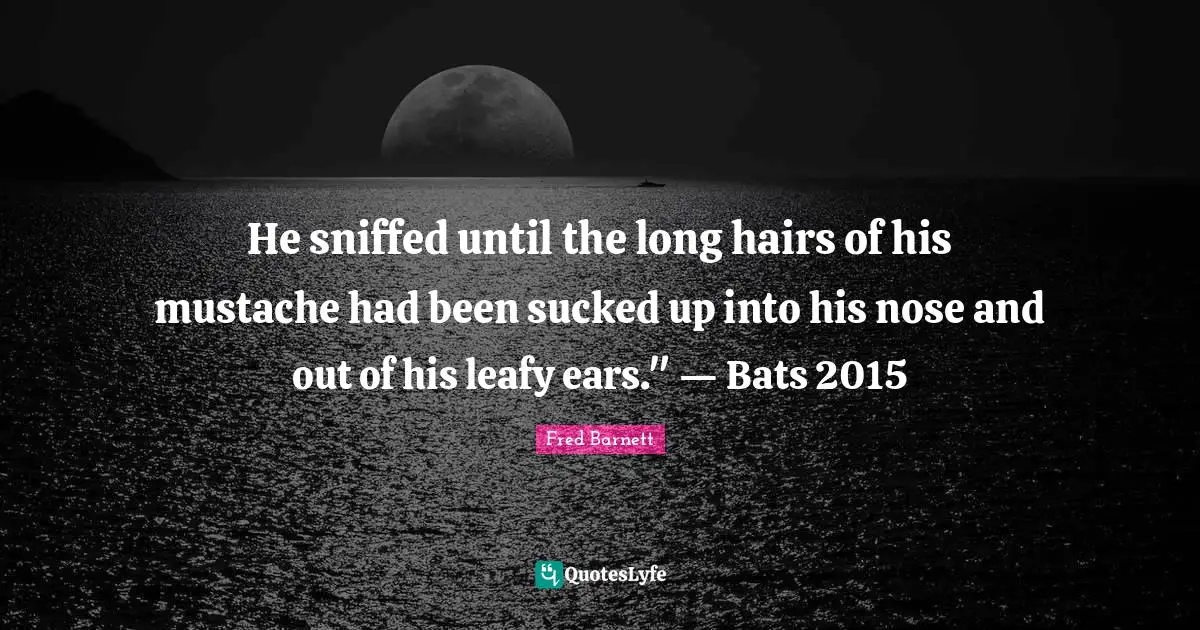 He sniffed until the long hairs of his mustache had been sucked up into his nose and out of his leafy ears." — Bats 2015