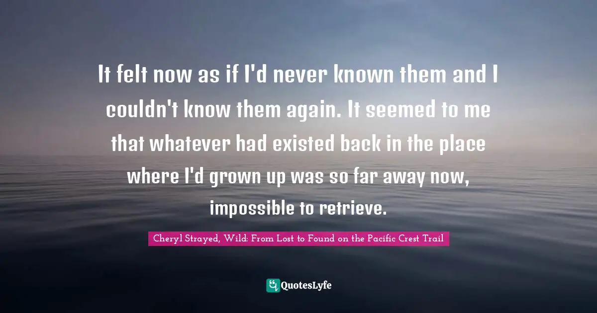 It felt now as if I'd never known them and I couldn't know them again. It seemed to me that whatever had existed back in the place where I'd grown up was so far away now, impossible to retrieve.