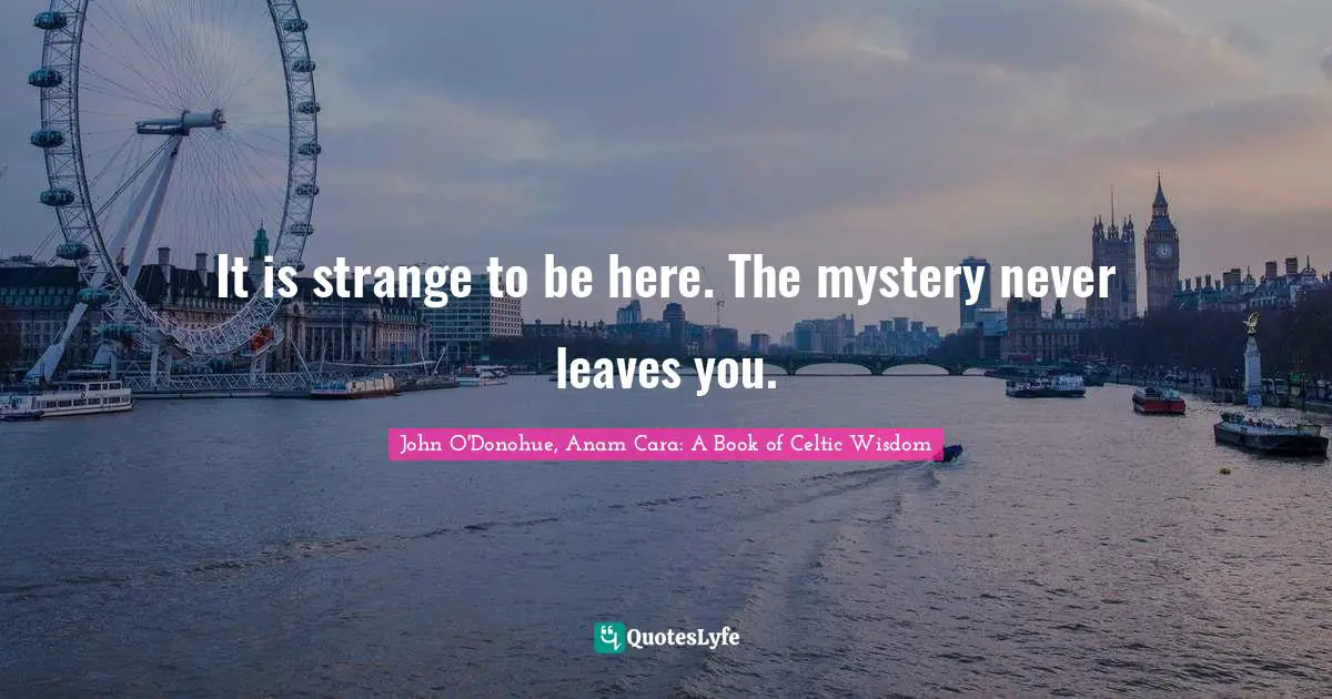 It is strange to be here. The mystery never leaves you.