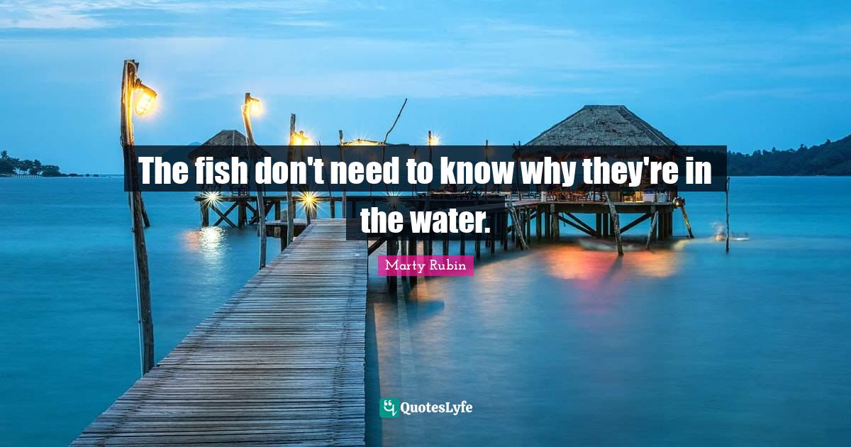 The fish don't need to know why they're in the water.... Quote by Marty