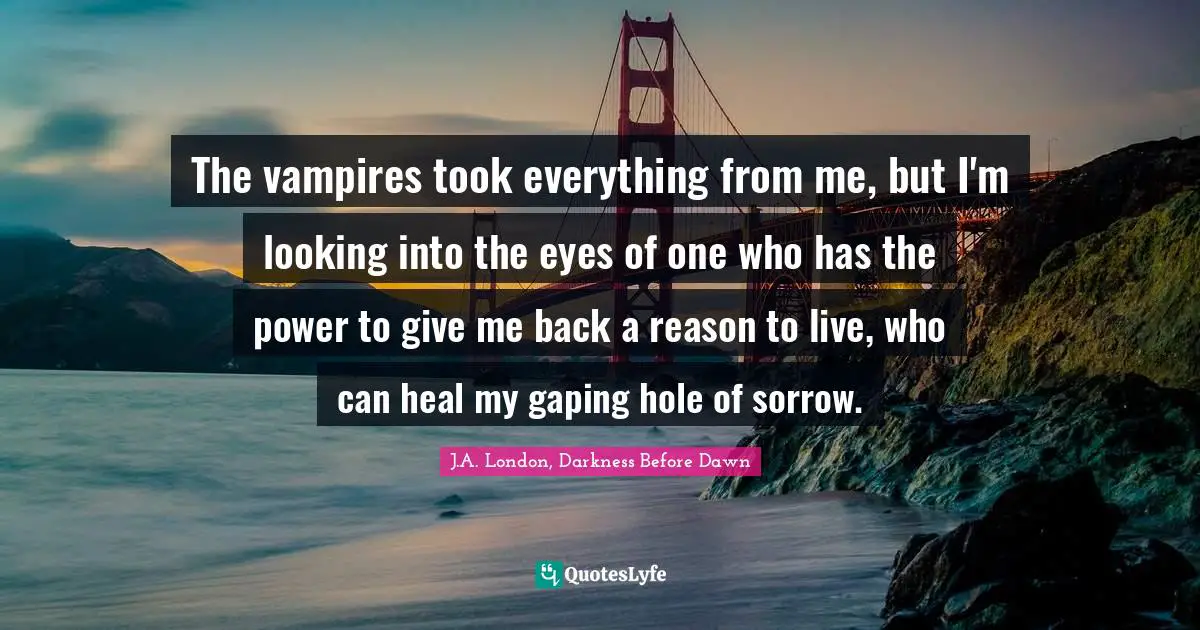 The vampires took everything from me, but I'm looking into the eyes of one who has the power to give me back a reason to live, who can heal my gaping hole of sorrow.