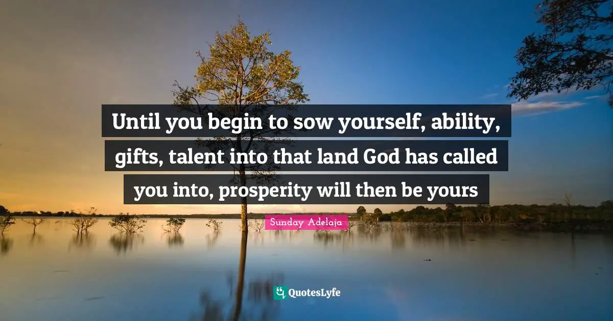 Until you begin to sow yourself, ability, gifts, talent into that land God has called you into, prosperity will then be yours