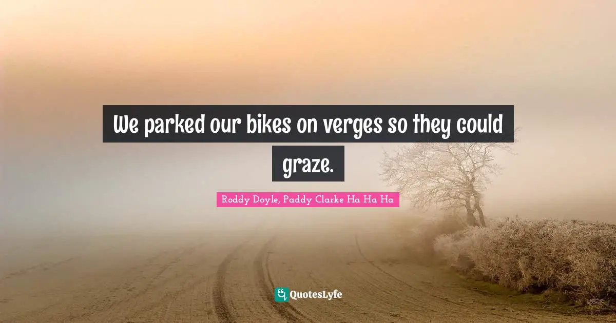 We parked our bikes on verges so they could graze.