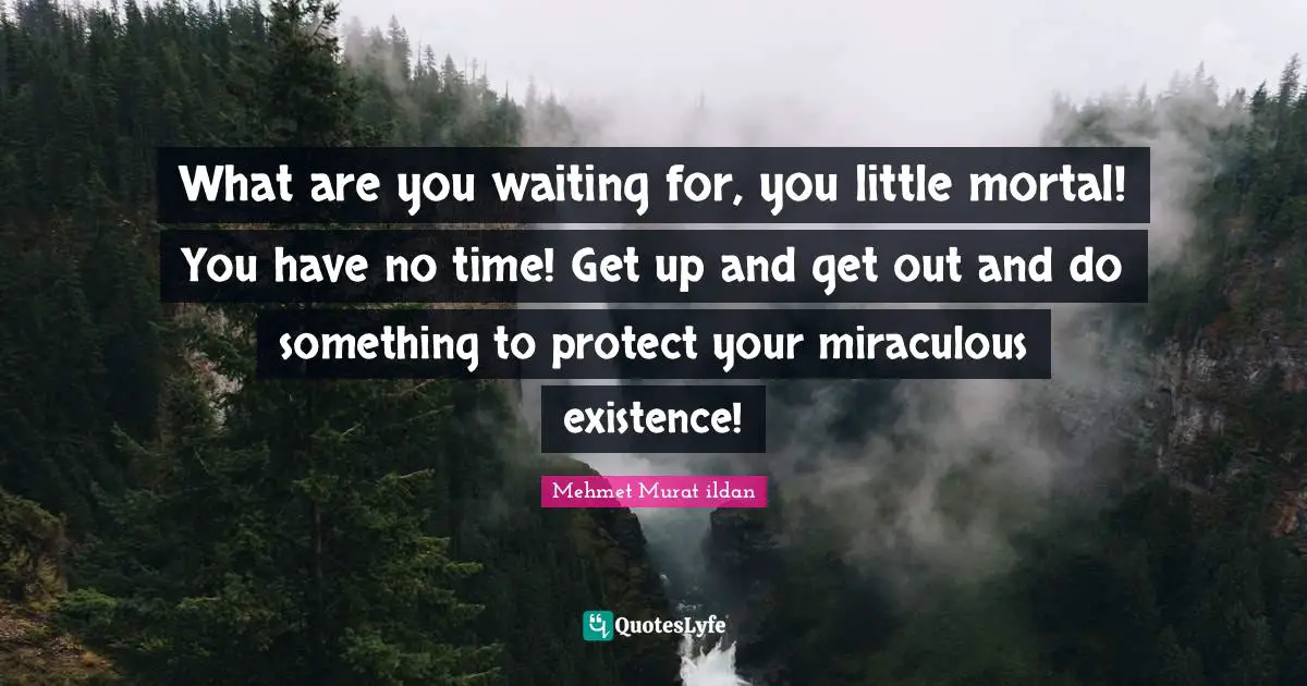 What are you waiting for, you little mortal! You have no time! Get up and get out and do something to protect your miraculous existence!