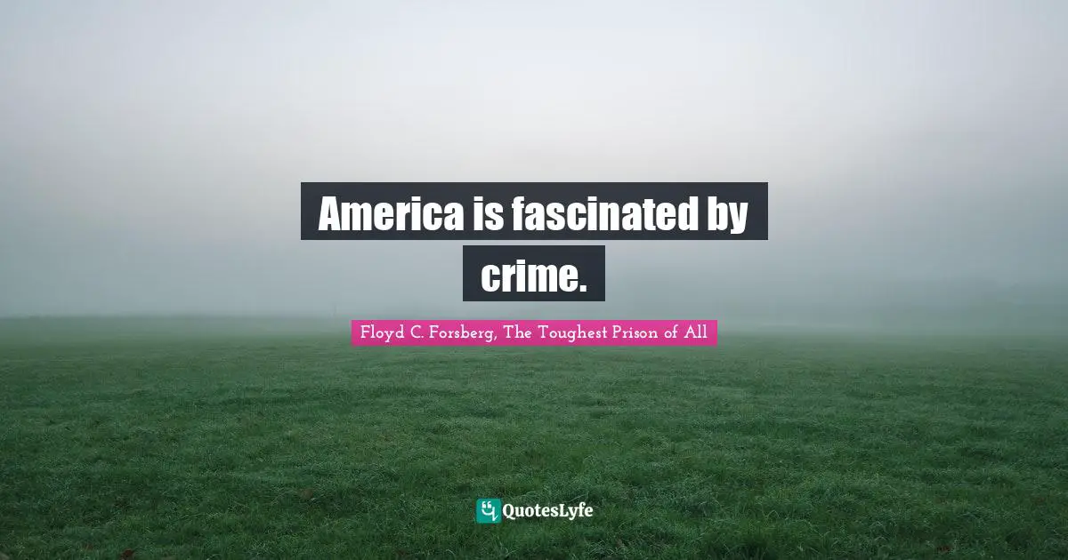 Robber Quotes: "America is fascinated by crime."