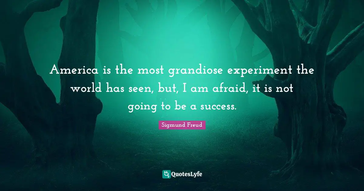America is the most grandiose experiment the world has seen, but, I am afraid, it is not going to be a success.