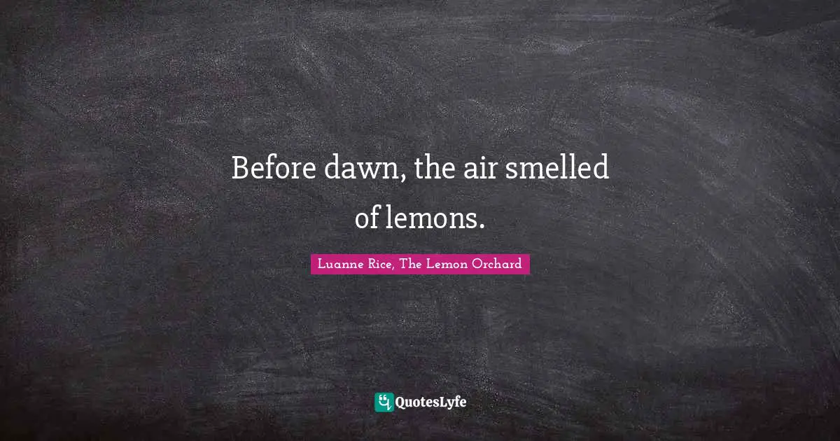 Before dawn, the air smelled of lemons.