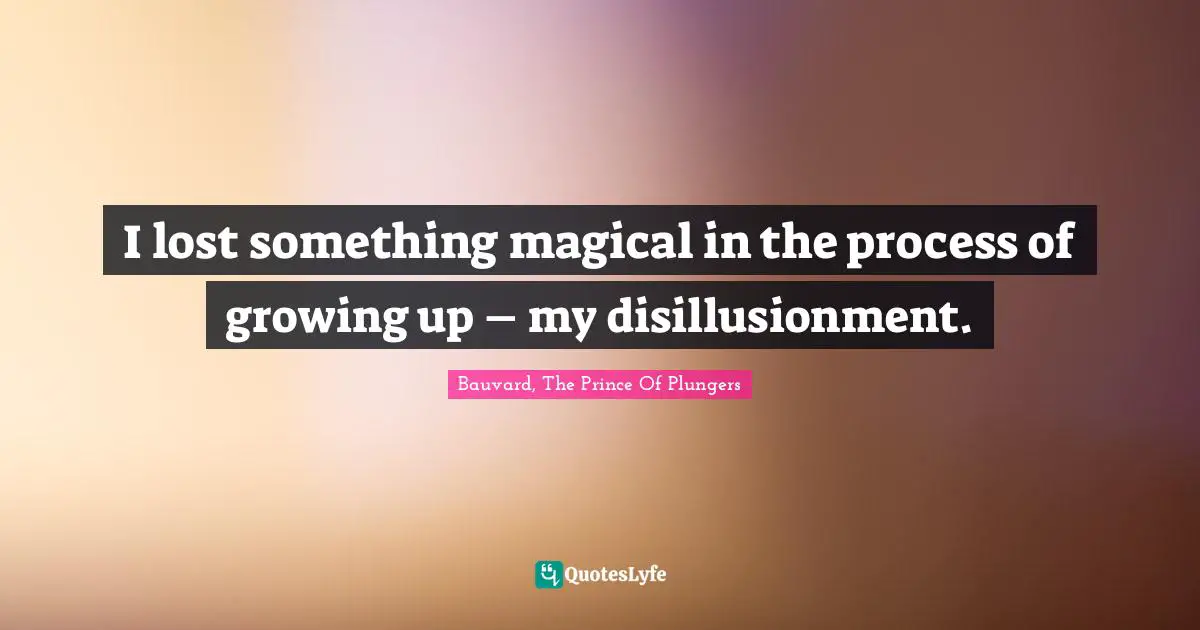Bauvard, The Prince Of Plungers Quotes: I lost something magical in the process of growing up – my disillusionment.