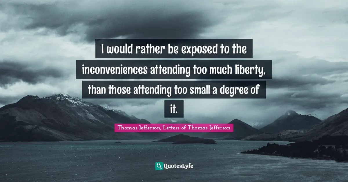 I would rather be exposed to the inconveniences attending too much liberty, than those attending too small a degree of it.