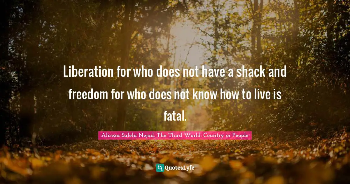 Liberation for who does not have a shack and freedom for who does not know how to live is fatal.