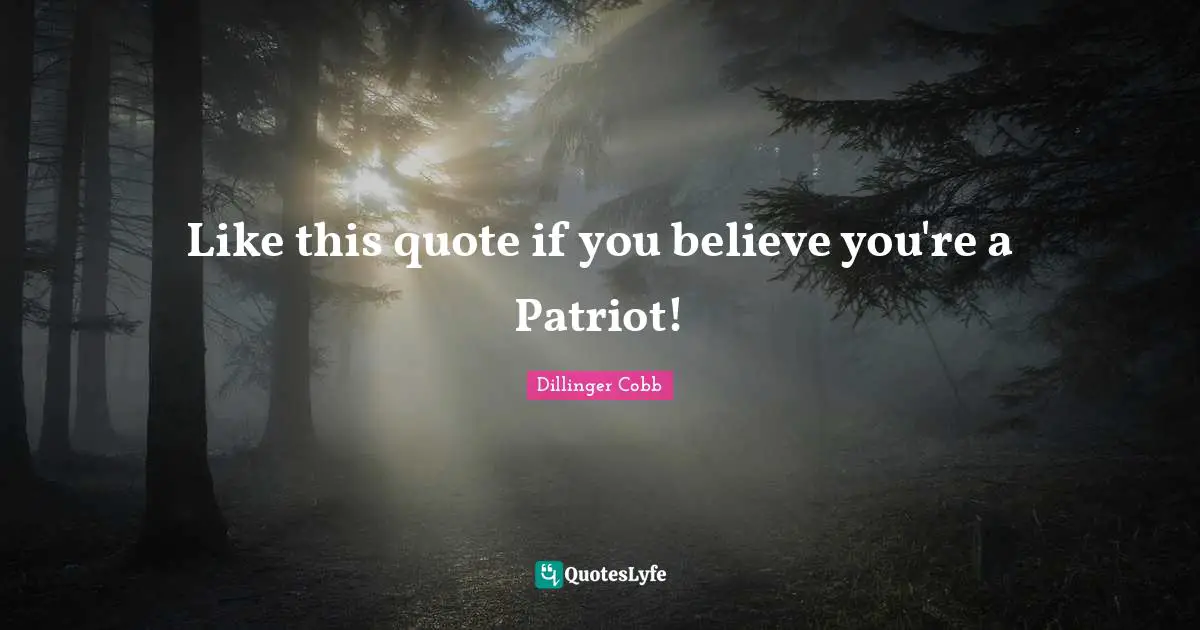 Like this quote if you believe you're a Patriot!