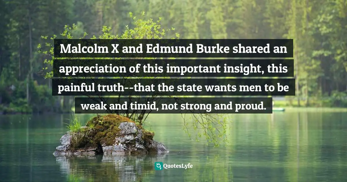 Malcolm X and Edmund Burke shared an appreciation of this important insight, this painful truth--that the state wants men to be weak and timid, not strong and proud.