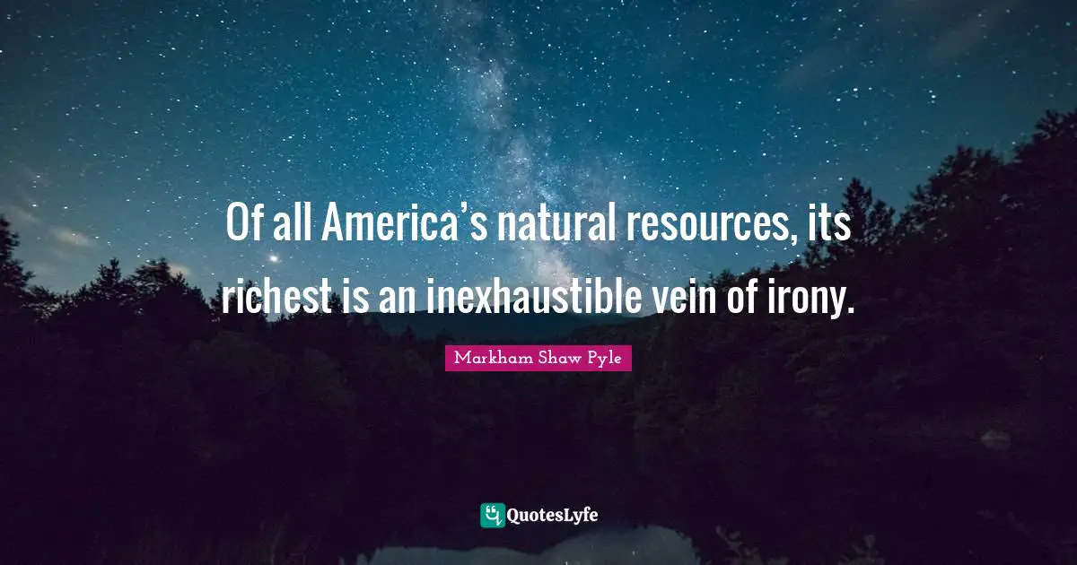 Of all America’s natural resources, its richest is an inexhaustible vein of irony.