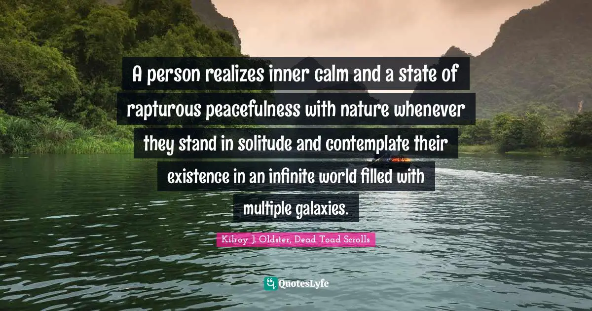 Kilroy J. Oldster, Dead Toad Scrolls Quotes: A person realizes inner calm and a state of rapturous peacefulness with nature whenever they stand in solitude and contemplate their existence in an infinite world filled with multiple galaxies.