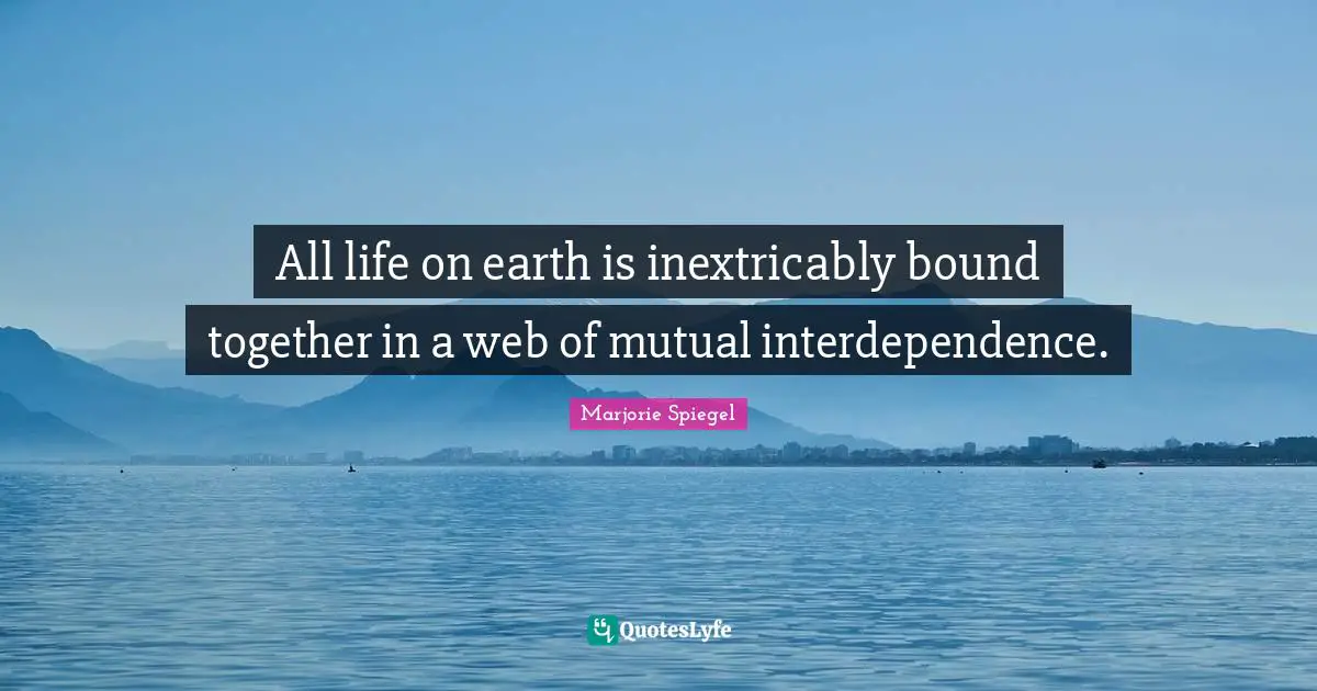 All life on earth is inextricably bound together in a web of mutual interdependence.